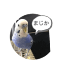 ヒメちゃんガンバスタンプ2（個別スタンプ：12）