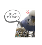 ヒメちゃんガンバスタンプ2（個別スタンプ：13）