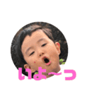 まるぽぽスタ（個別スタンプ：12）