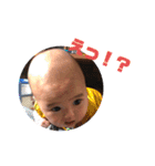 まるぽぽスタ（個別スタンプ：26）