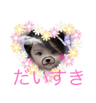 Mia LINEスタンプ（個別スタンプ：1）
