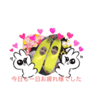 Mia LINEスタンプ（個別スタンプ：6）