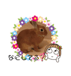 うさぎのモカちゃんスタンプpart8（個別スタンプ：2）