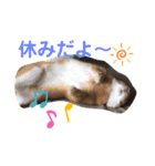 うさぎのモカちゃんスタンプpart8（個別スタンプ：16）