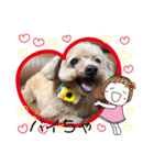 可愛い愛犬モコのスタンプ（個別スタンプ：6）