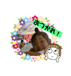 昔の写真で作った癒しのスタンプ（個別スタンプ：3）