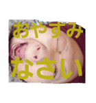 けてぃーちゃん⑥（個別スタンプ：3）