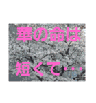 けてぃーちゃん⑥（個別スタンプ：4）