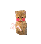 ちょみー＆ぷてぃこのスタンプ その1（個別スタンプ：2）