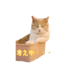ちょみー＆ぷてぃこのスタンプ その1（個別スタンプ：21）