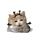 ちょみー＆ぷてぃこのスタンプ その1（個別スタンプ：24）