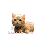 ちょみー＆ぷてぃこのスタンプ その1（個別スタンプ：25）