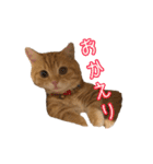 ちょみー＆ぷてぃこのスタンプ その1（個別スタンプ：26）
