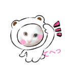 にゃんず通信（個別スタンプ：1）