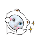 にゃんず通信（個別スタンプ：4）