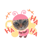にゃんず通信（個別スタンプ：8）