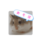 many  thing things（個別スタンプ：5）