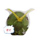 many  thing things（個別スタンプ：6）
