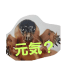 many  thing things（個別スタンプ：7）