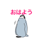 ペンギン キャラ絵スタンプ 20200720（個別スタンプ：2）