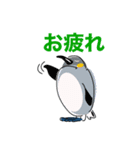 ペンギン キャラ絵スタンプ 20200720（個別スタンプ：5）