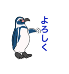 ペンギン キャラ絵スタンプ 20200720（個別スタンプ：8）