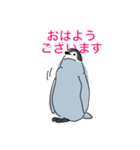 ペンギン キャラ絵スタンプ 20200720（個別スタンプ：11）