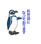 ペンギン キャラ絵スタンプ 20200720（個別スタンプ：12）