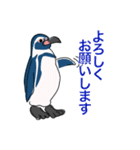 ペンギン キャラ絵スタンプ 20200720（個別スタンプ：14）