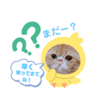 だいずスタンプ★（個別スタンプ：1）