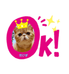 だいずスタンプ★（個別スタンプ：3）