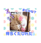 だいずスタンプ★（個別スタンプ：4）