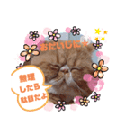 だいずスタンプ★（個別スタンプ：5）