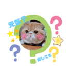 だいずスタンプ★（個別スタンプ：7）