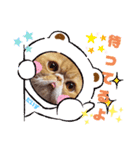 だいずスタンプ★（個別スタンプ：8）