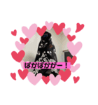 はーちゃんスタンプpart2（個別スタンプ：8）