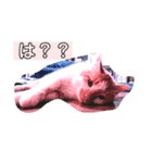 はっさくてんざる（個別スタンプ：2）