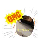 はっさくてんざる（個別スタンプ：3）