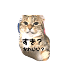 はっさくてんざる（個別スタンプ：5）