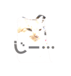 はっさくてんざる（個別スタンプ：8）