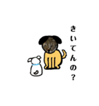 かぐやはわんこ（個別スタンプ：1）