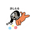 かぐやはわんこ（個別スタンプ：7）