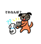 かぐやはわんこ（個別スタンプ：21）