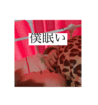 僕の日常の松岡と申します（個別スタンプ：6）