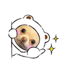 ちくわちゃん3（個別スタンプ：5）