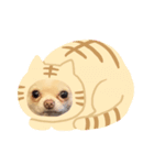 ちくわちゃん3（個別スタンプ：6）