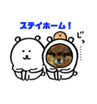 ポメラニアンのピヨ（個別スタンプ：2）