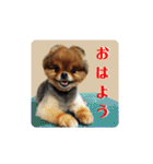 ポメラニアンのピヨ（個別スタンプ：24）