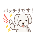 【犬.イヌ.いぬ】まるまる！マルックス 敬語（個別スタンプ：10）