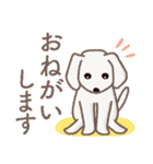 【犬.イヌ.いぬ】まるまる！マルックス 敬語（個別スタンプ：12）